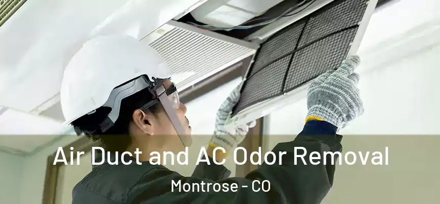 Air Duct and AC Odor Removal Montrose - CO