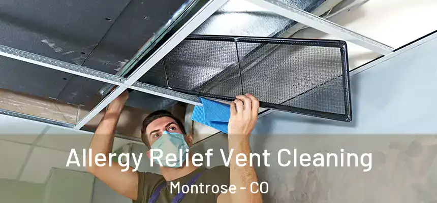  Allergy Relief Vent Cleaning Montrose - CO