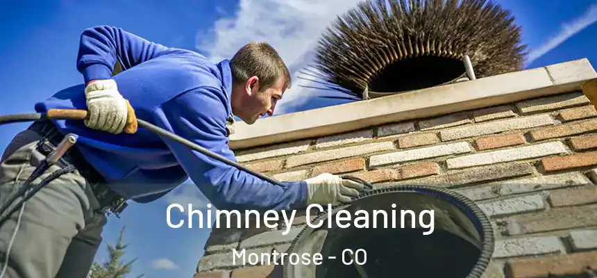  Chimney Cleaning Montrose - CO