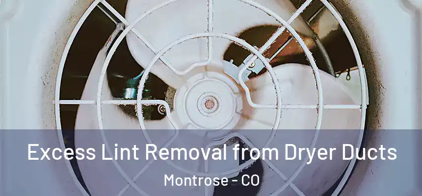  Excess Lint Removal from Dryer Ducts Montrose - CO