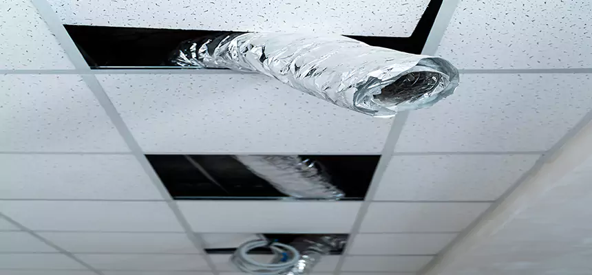 Affordable HVAC Sanitizing After Pest Removal in Montrose