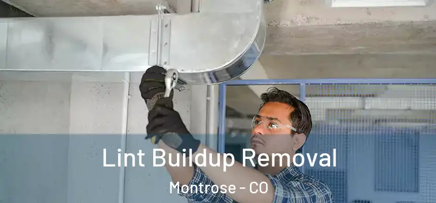  Lint Buildup Removal Montrose - CO