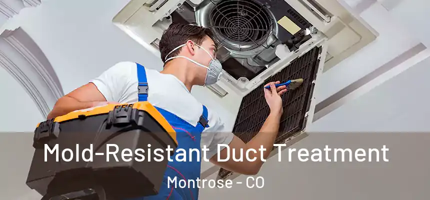  Mold-Resistant Duct Treatment Montrose - CO