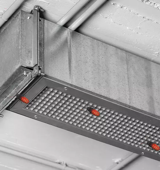 About Air Duct Cockroach Removal in Montrose, CO