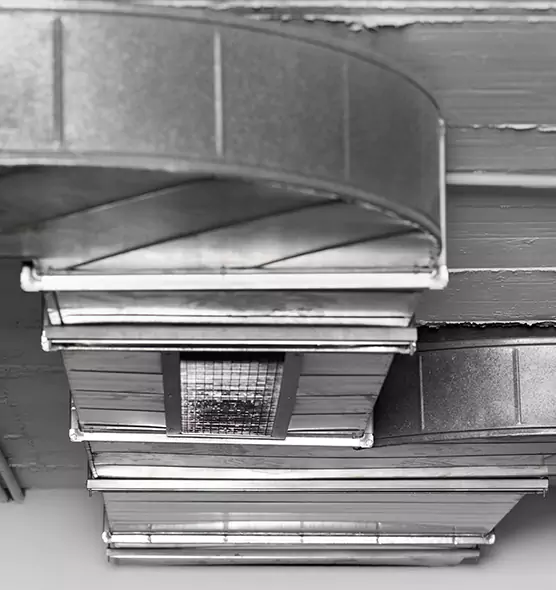 Professional Air Duct Pet Hair Removal in Montrose, CO