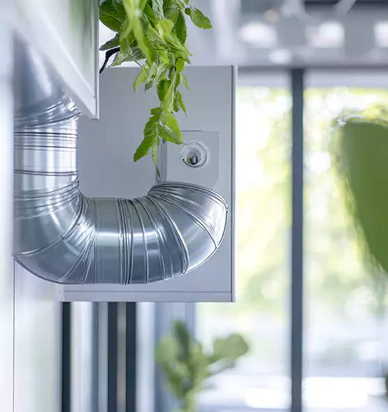 Professional Eco-Safe Dryer Vent Cleaning in Montrose, CO